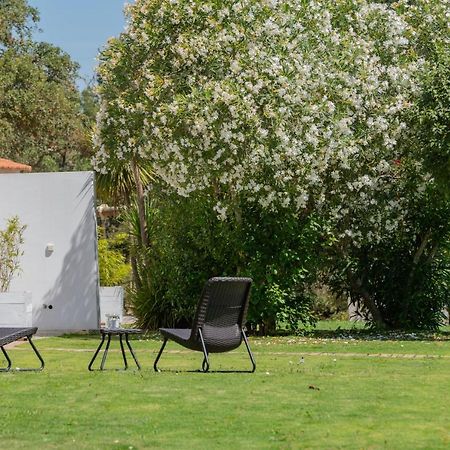 Casas Da Bica - Turismo Espaco Rural Cercal do Alentejo Εξωτερικό φωτογραφία