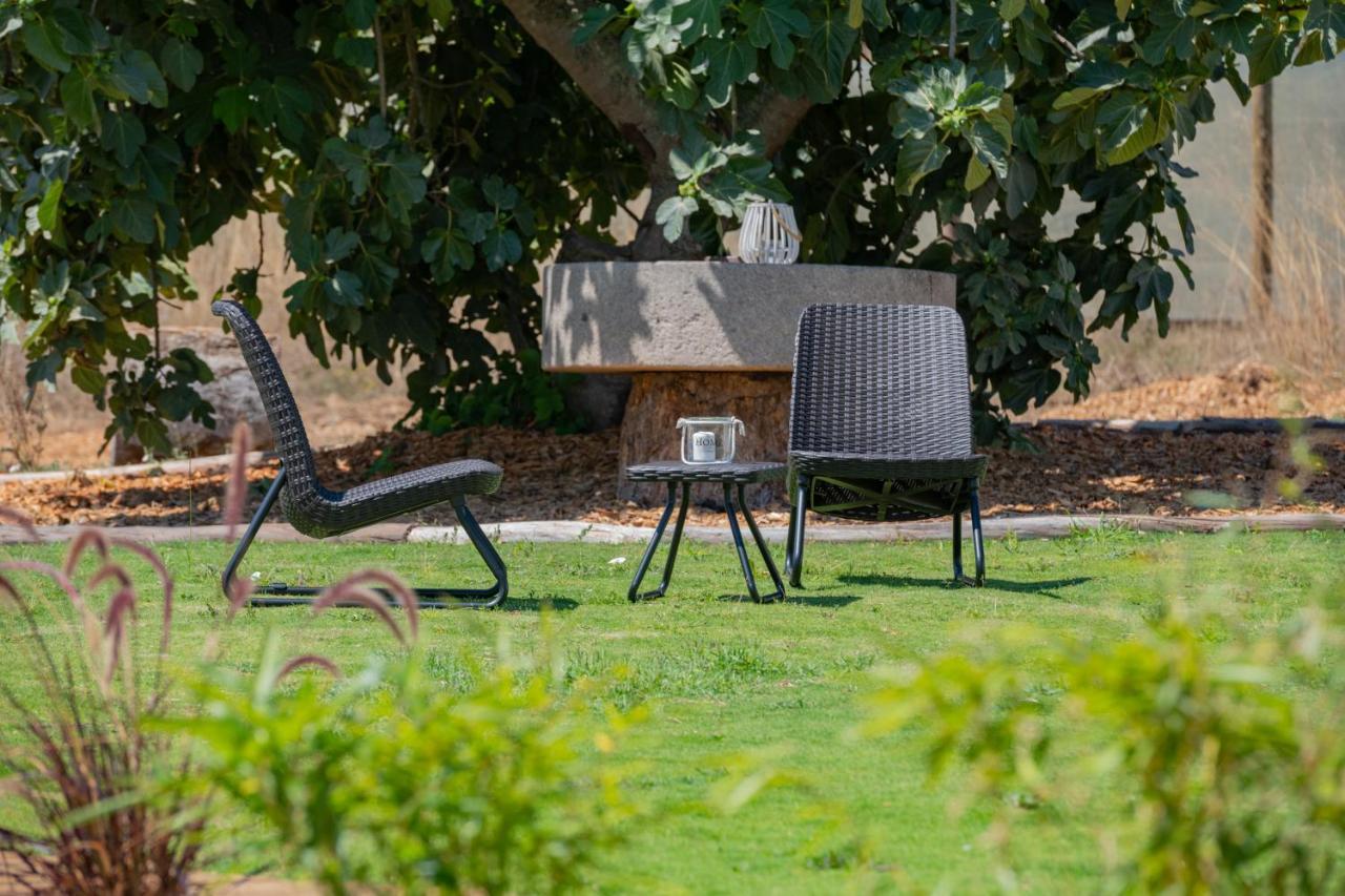 Casas Da Bica - Turismo Espaco Rural Cercal do Alentejo Εξωτερικό φωτογραφία